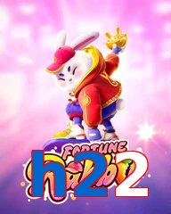 h22