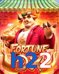 h22