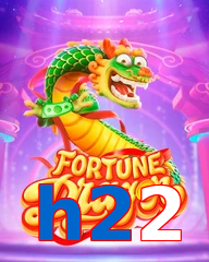 h22
