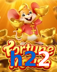 h22